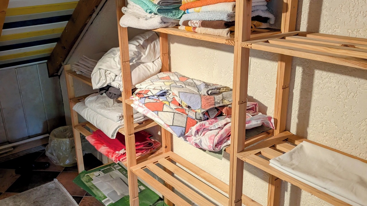 Photo of Others in Betting