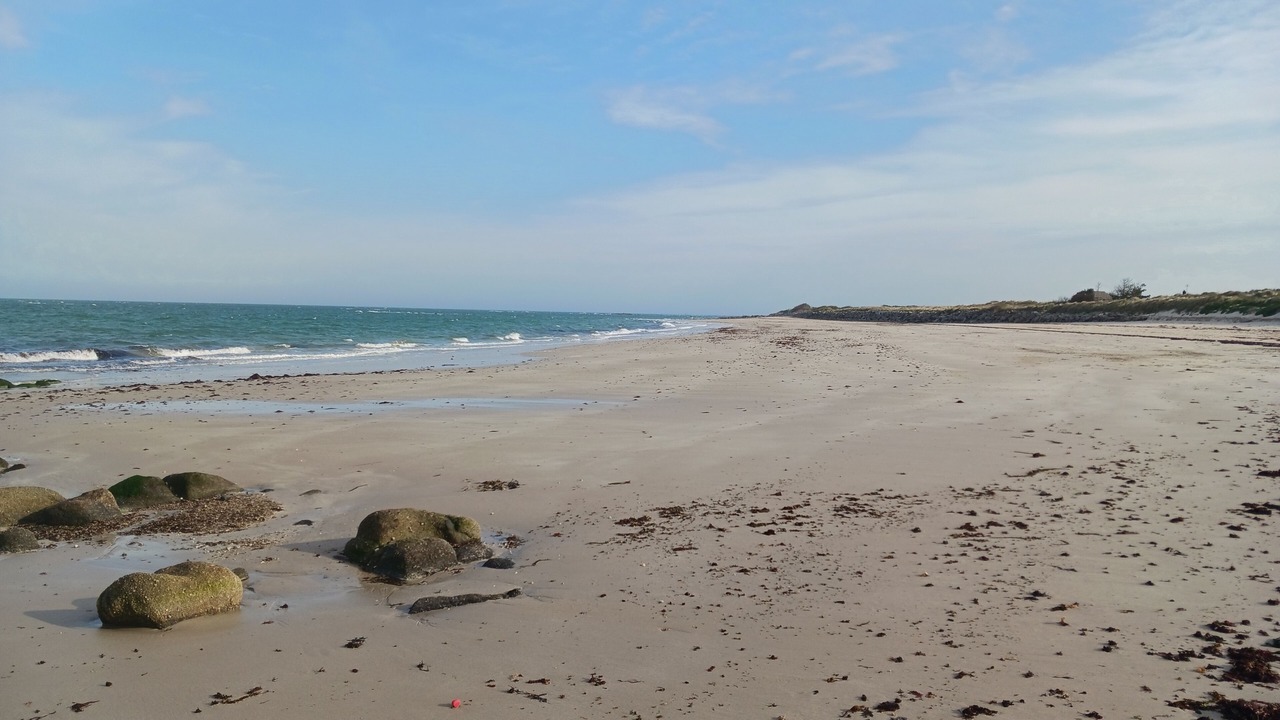 Photo of Others in Reville