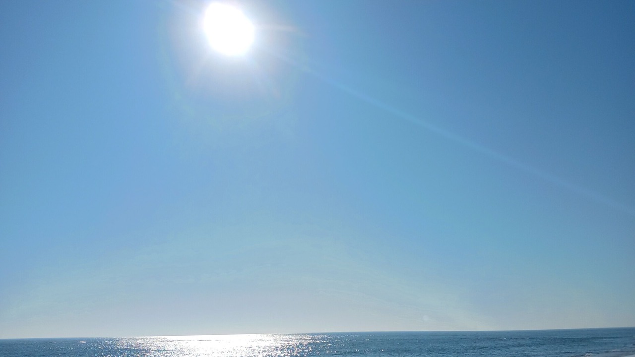 Photo of Others in Reville