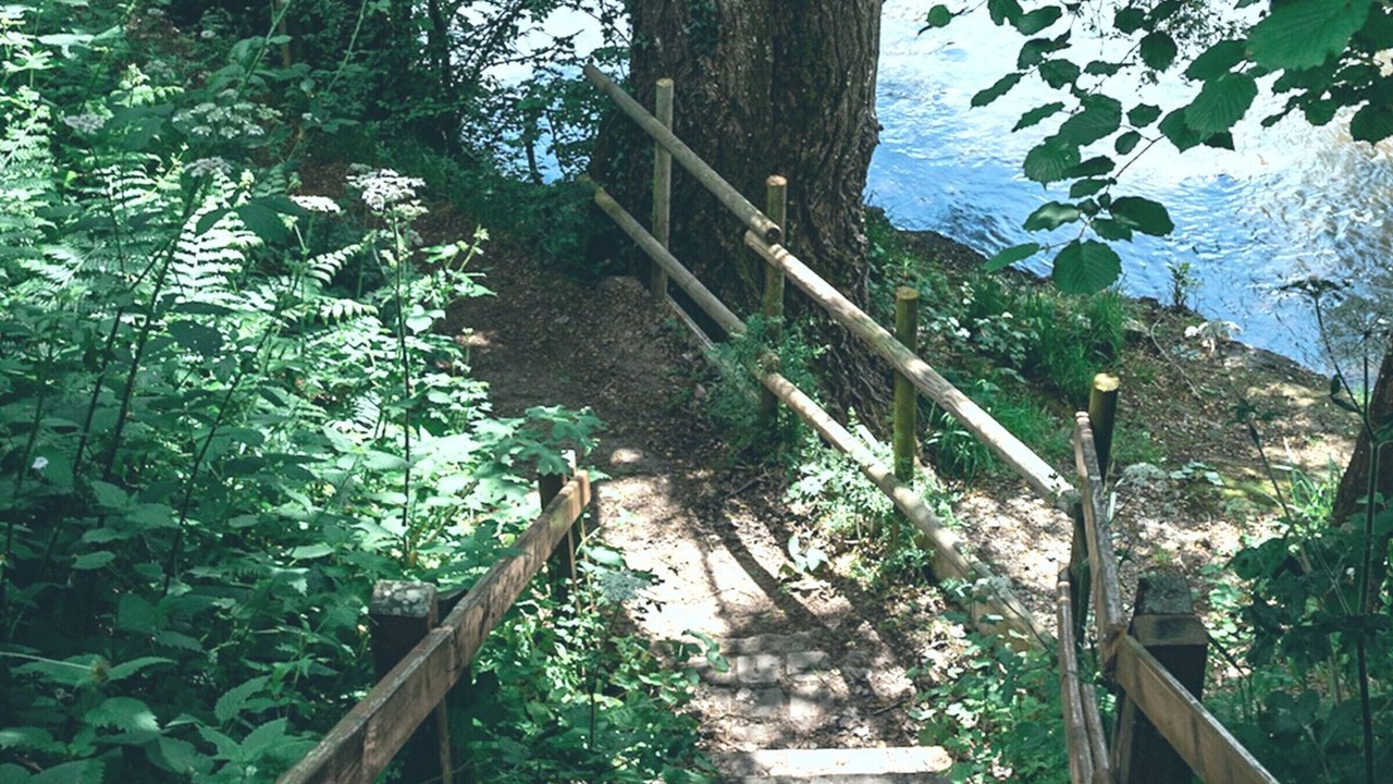 Photo of Outdoor in Saint-Leonard-des-Bois