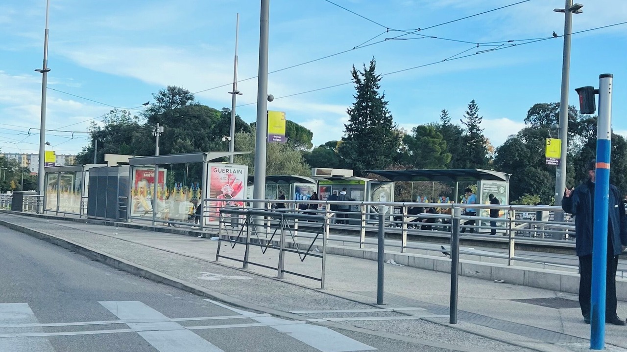 Photo of Others in Les Cevennes