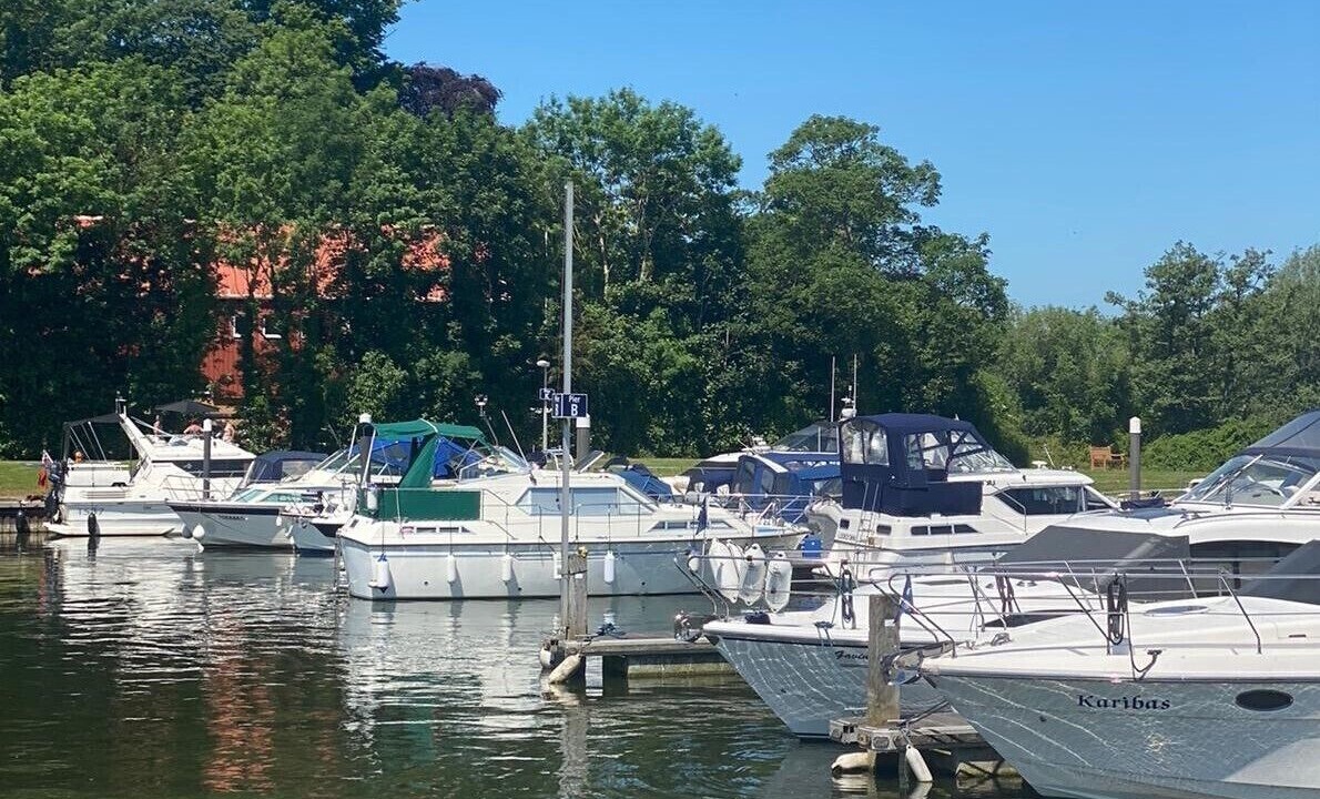 Photo of Others in Fifield