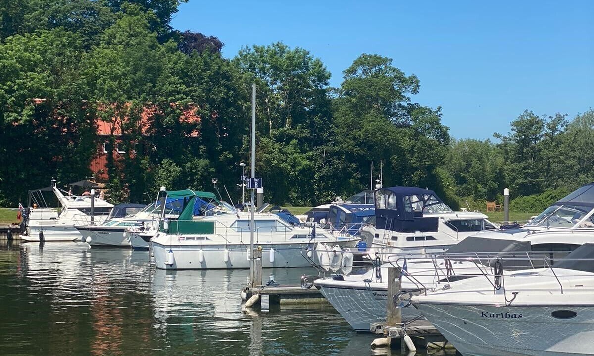 Photo of Others in Fifield