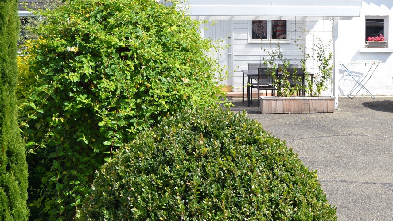 Photo of Outdoor in Ibos