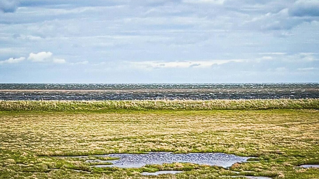 Photo of Others in Beaubassin East