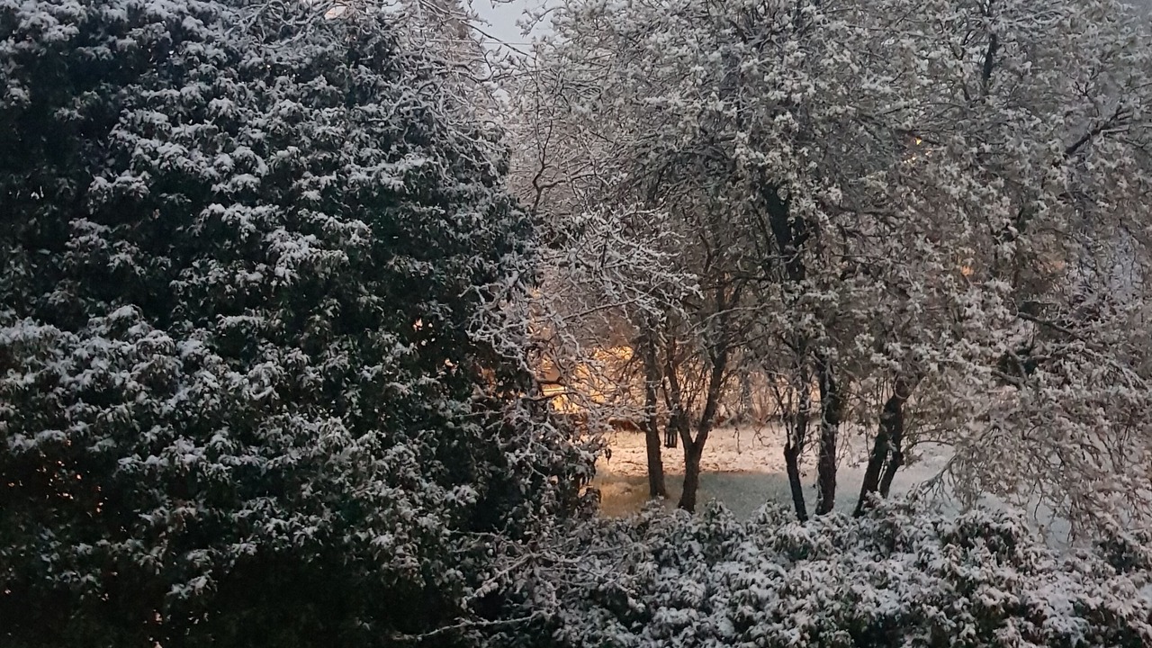 Photo of Others in Bissey-la-Cote