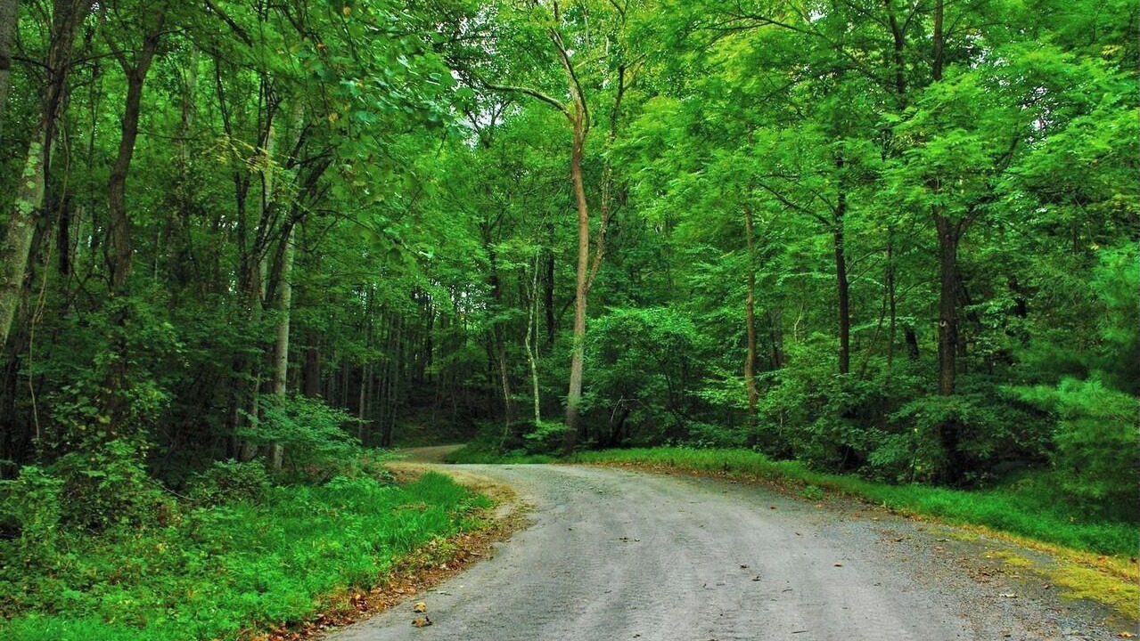 Photo of Others in Sperryville