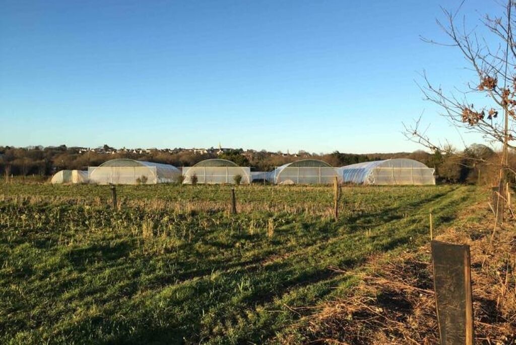 Photo of Others in Plougonven