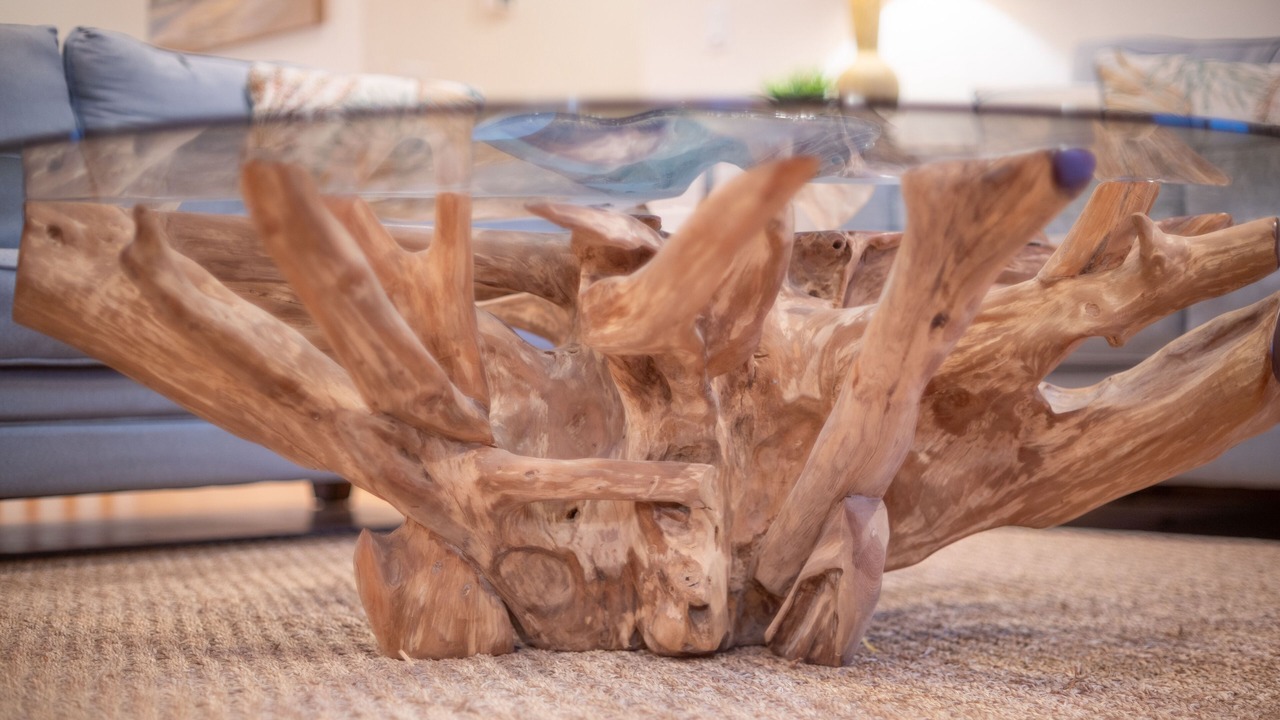 Photo of Others in Warrenton