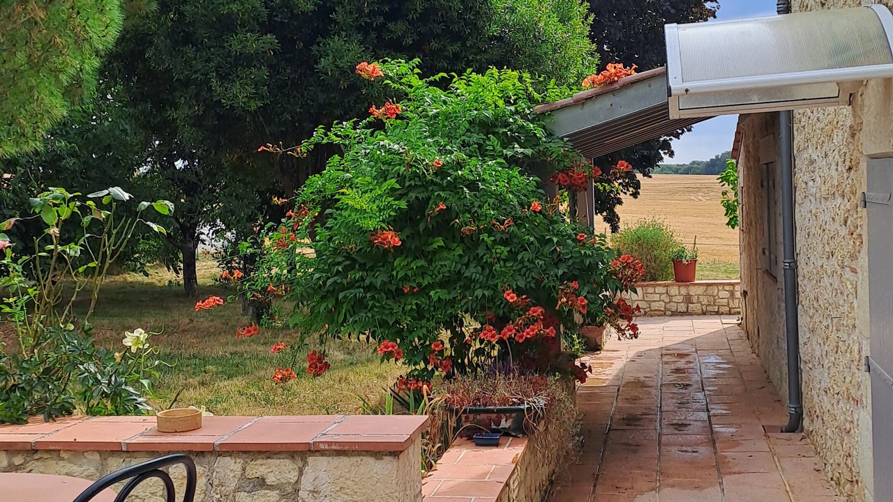 Photo of Outdoor in Castella