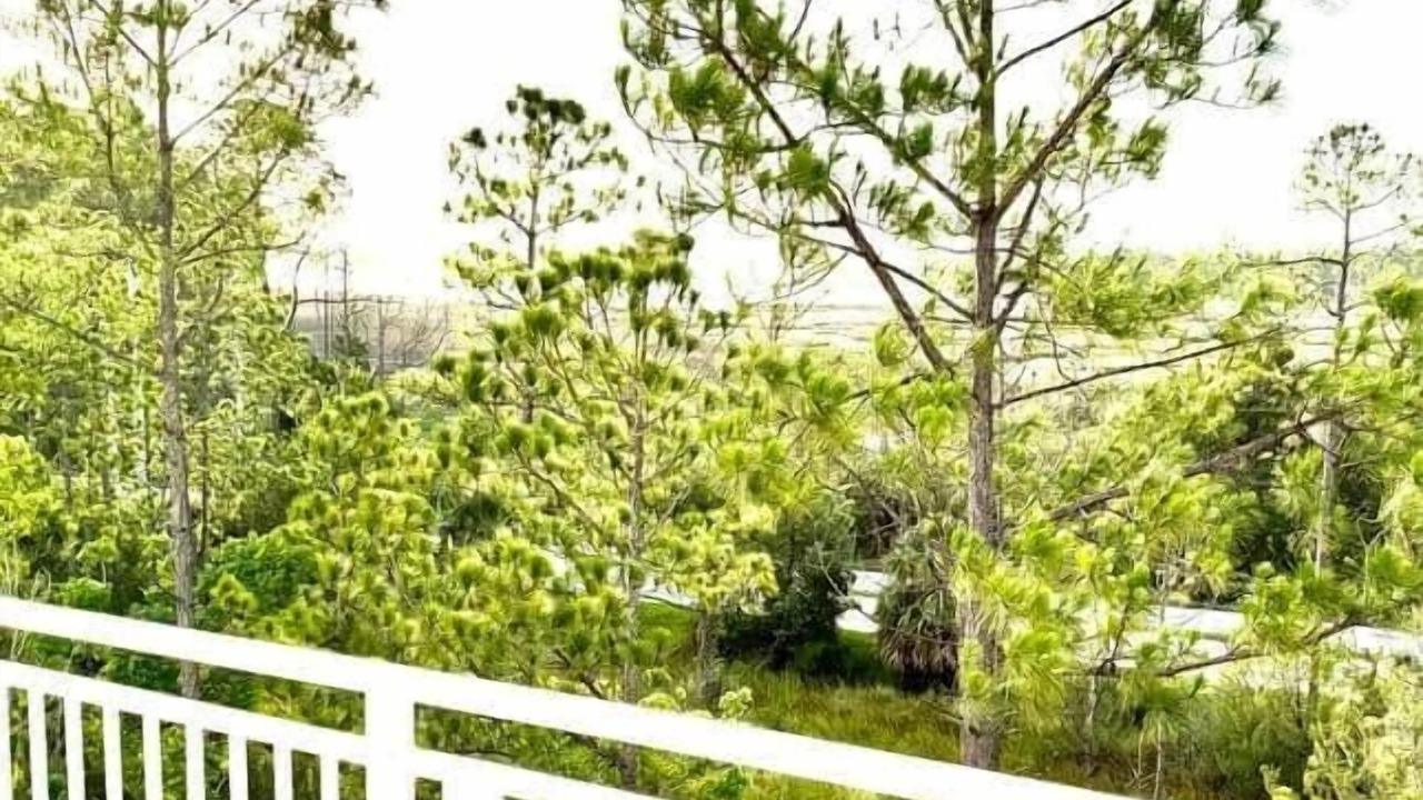 Photo of Outdoor in Highlands