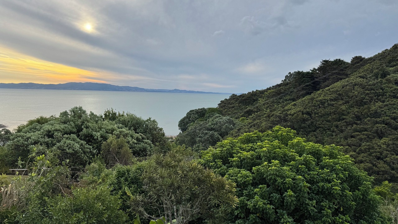 Photo of Others in Te Mata