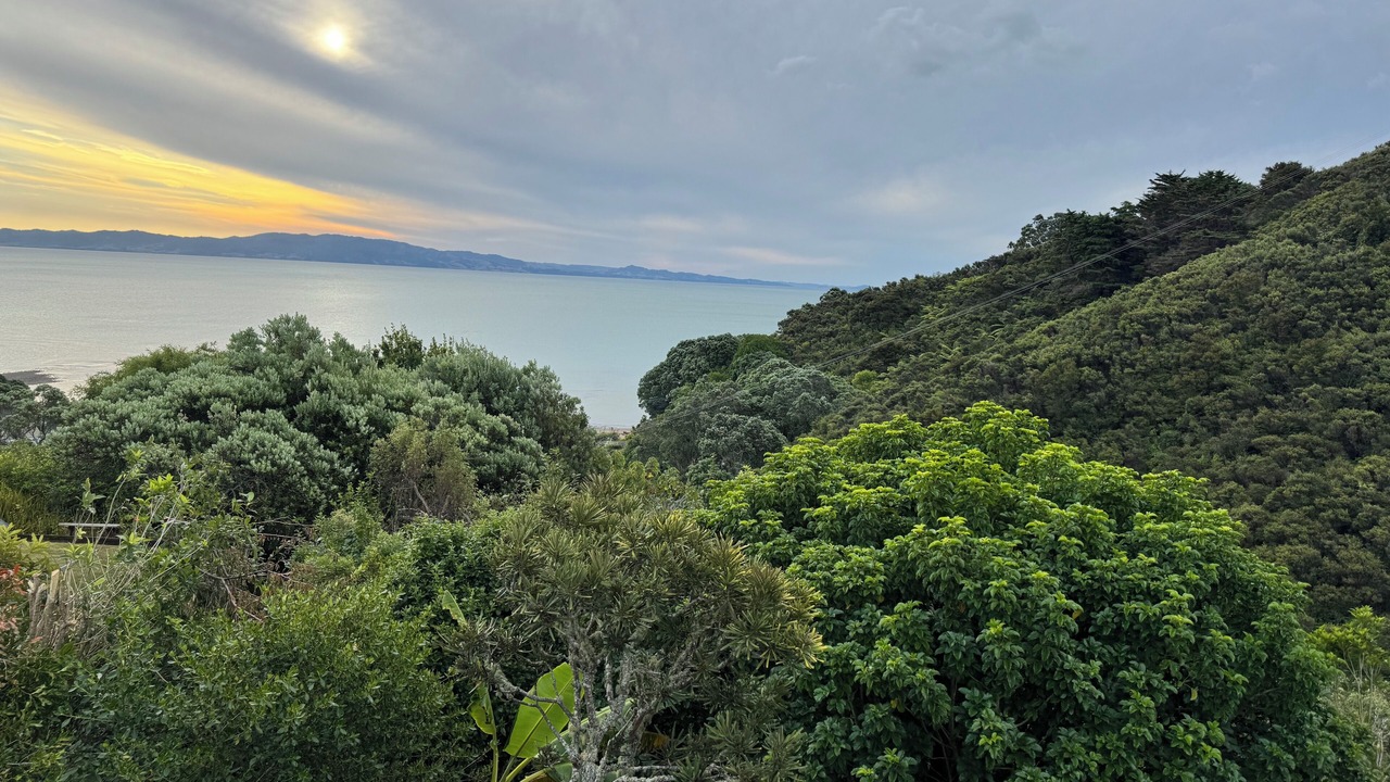 Photo of Others in Te Mata