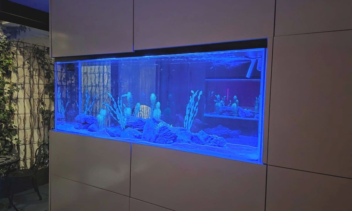 Photo of Others in South Woodford