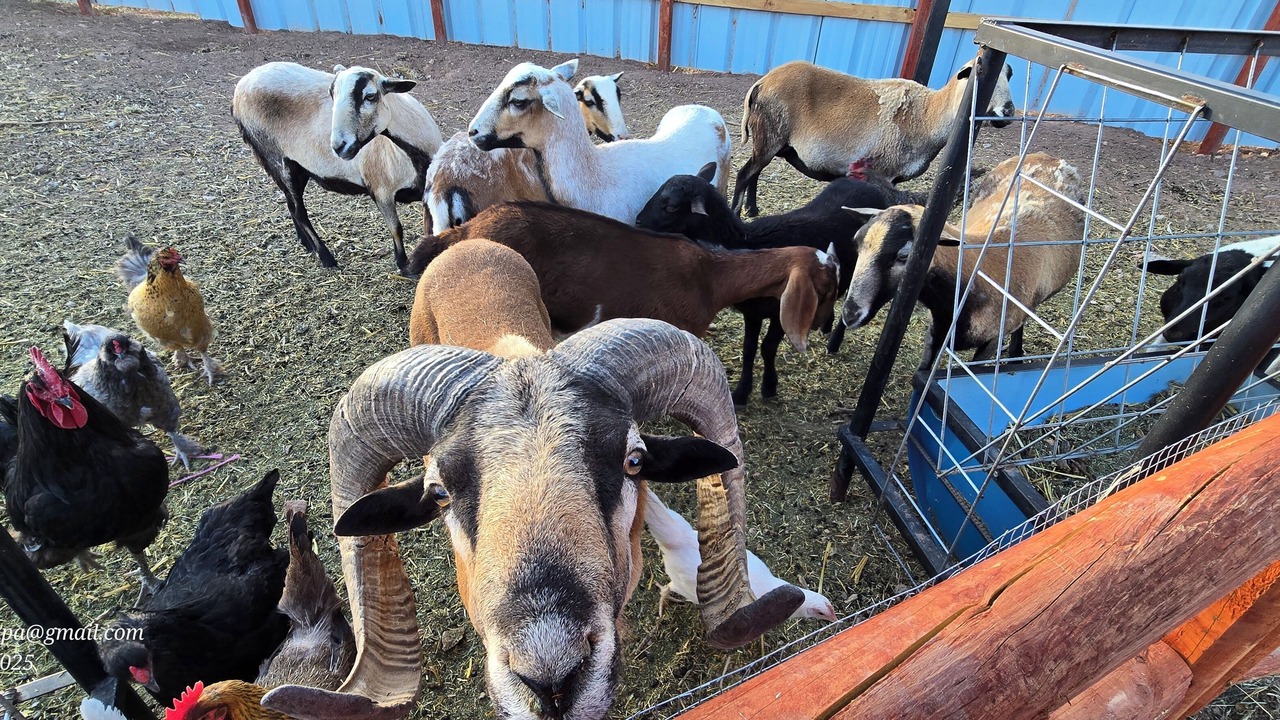 Photo of Others in San Rafael