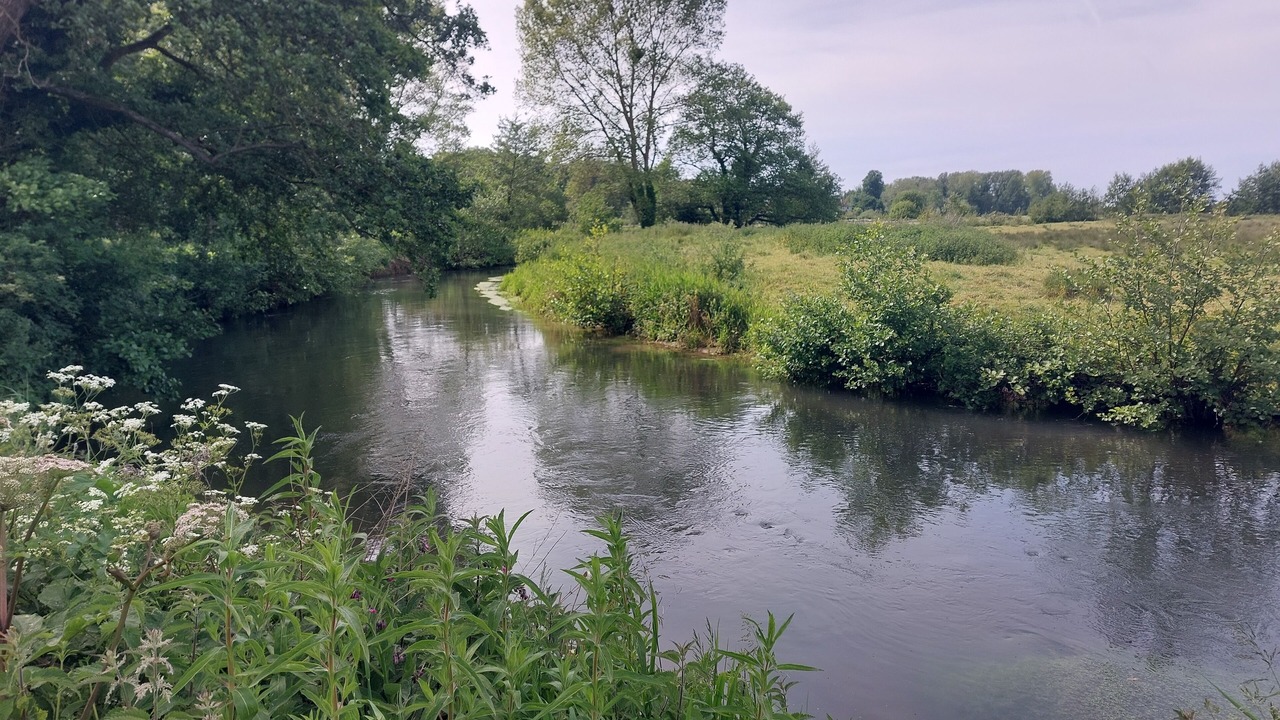 Photo of Others in Longueil