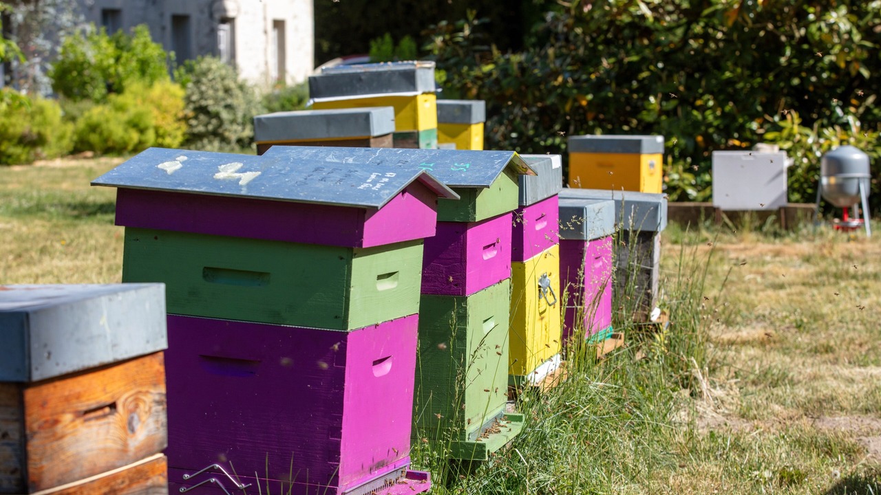 Photo of Outdoor in Fere-en-Tardenois