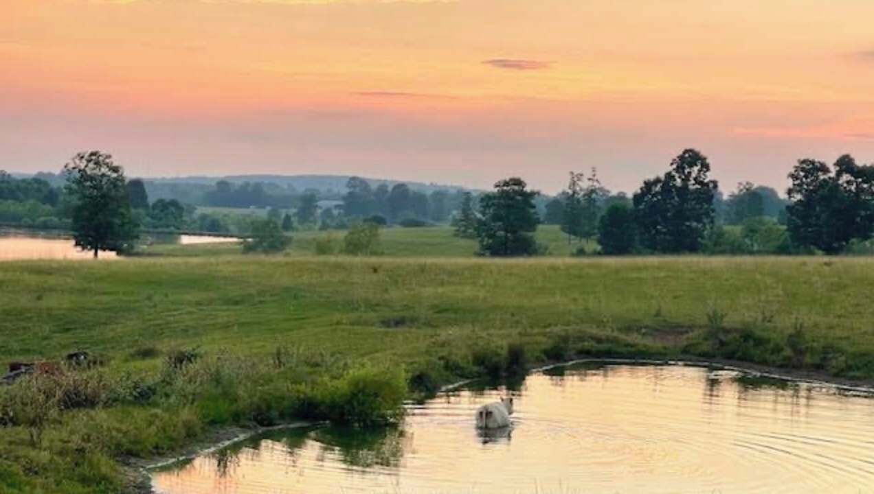 Photo of Others in Valley Head
