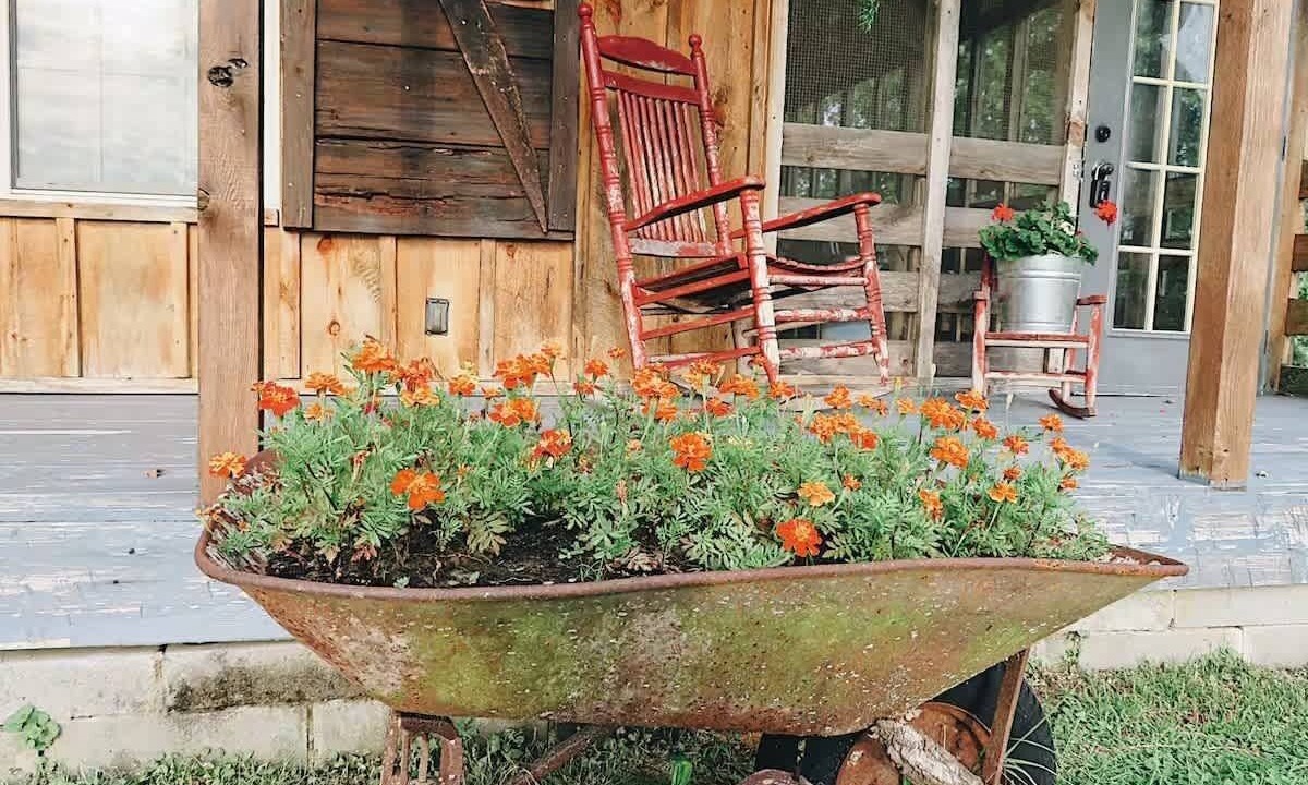 Photo of Outdoor in Valley Head