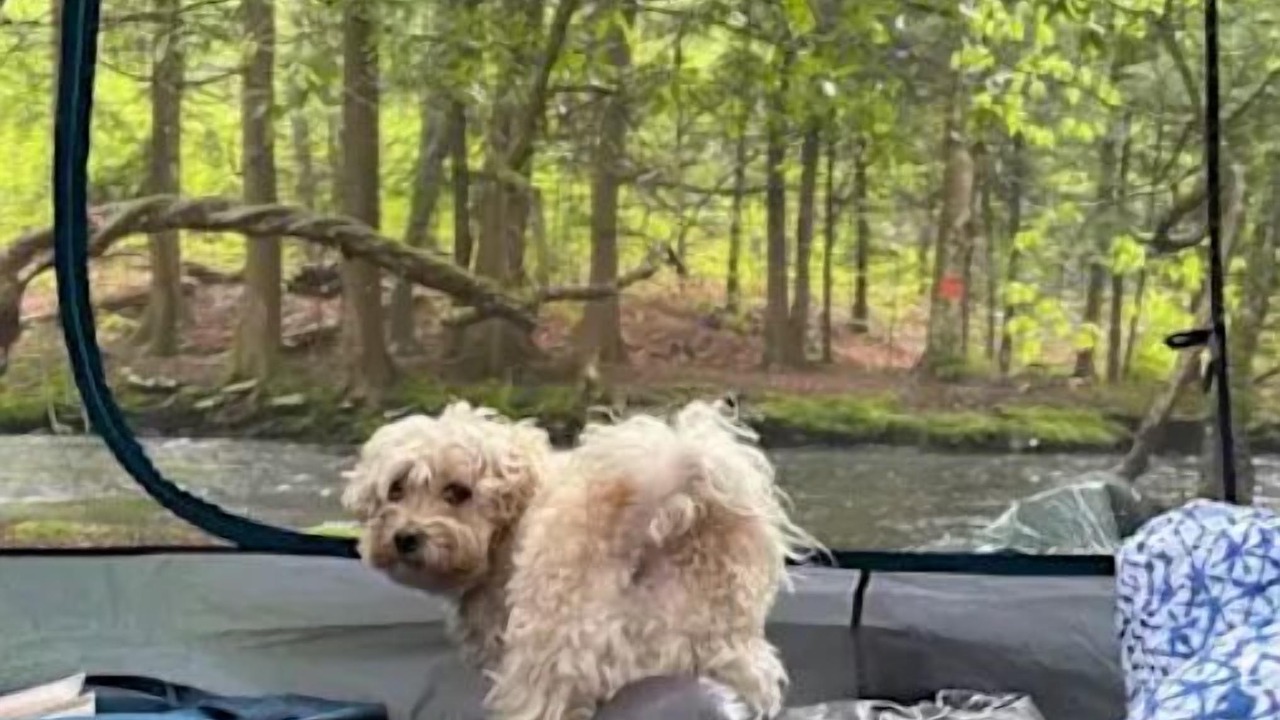 Photo of Others in Harris