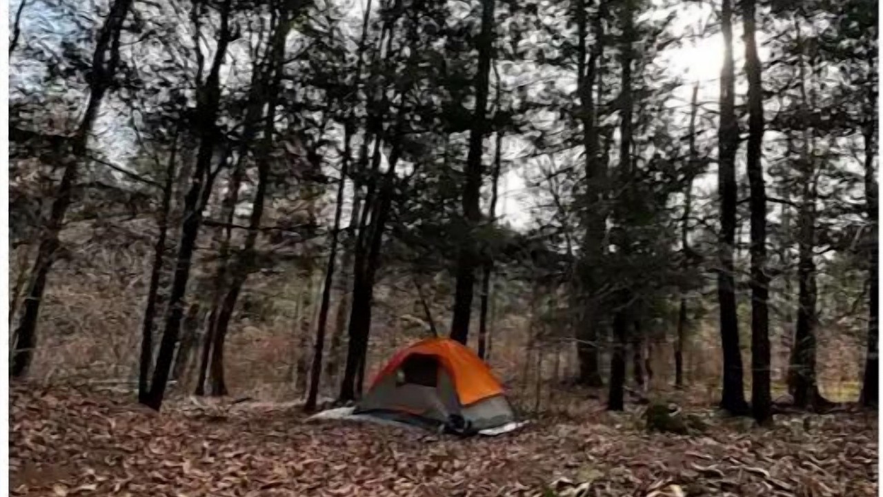 Photo of Others in Harris