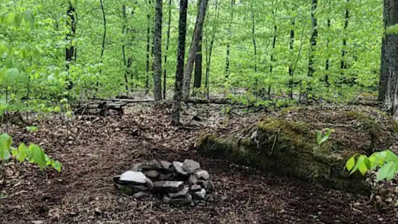 Photo of Others in Harris