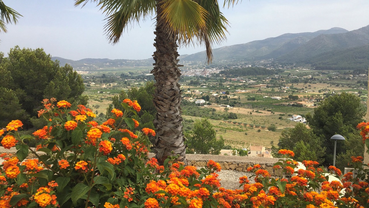Photo of Outdoor in Jalon