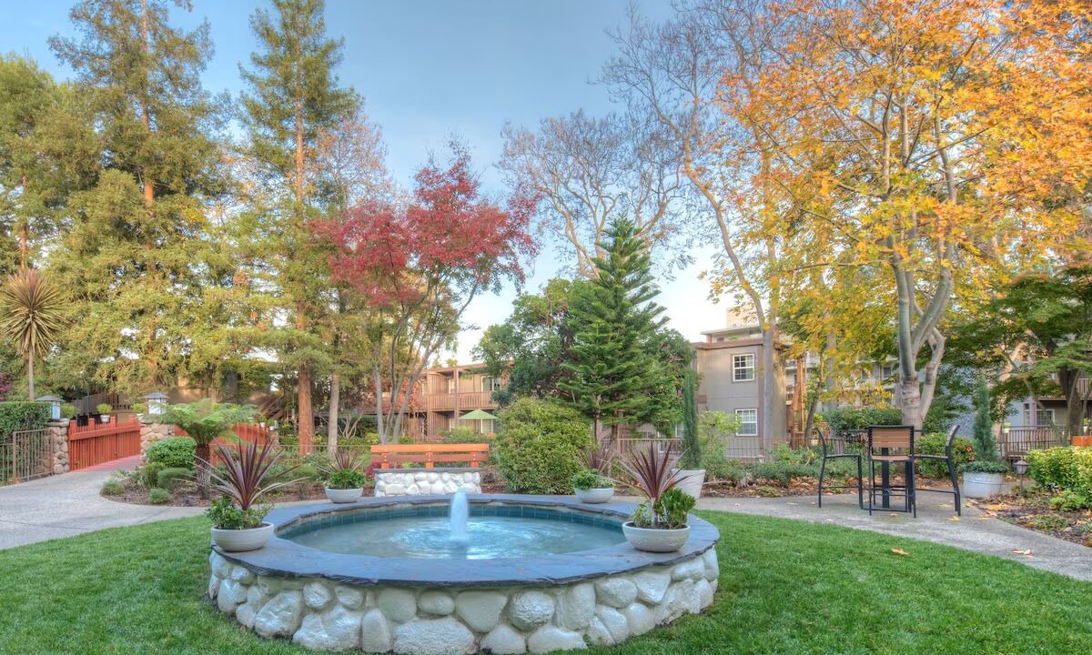 Photo of Outdoor in Barron Park