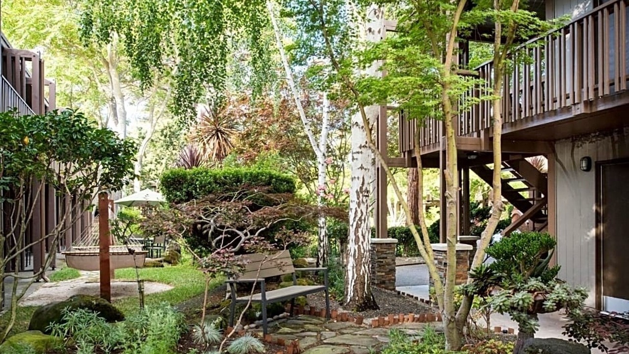 Photo of Outdoor in Barron Park