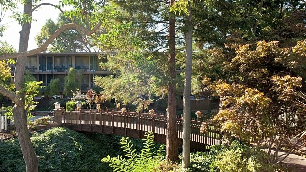 Photo of Outdoor in Barron Park