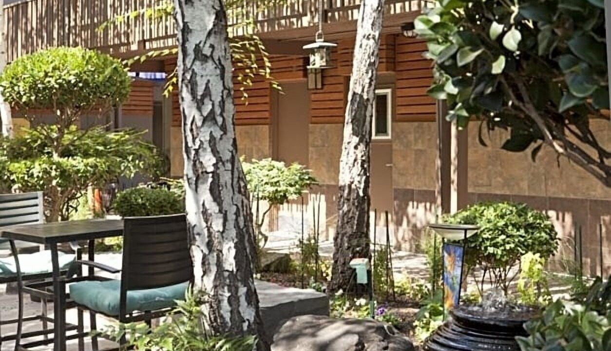 Photo of Outdoor in Barron Park