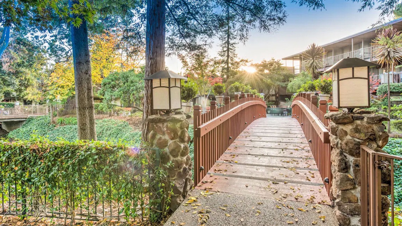 Photo of Outdoor in Barron Park