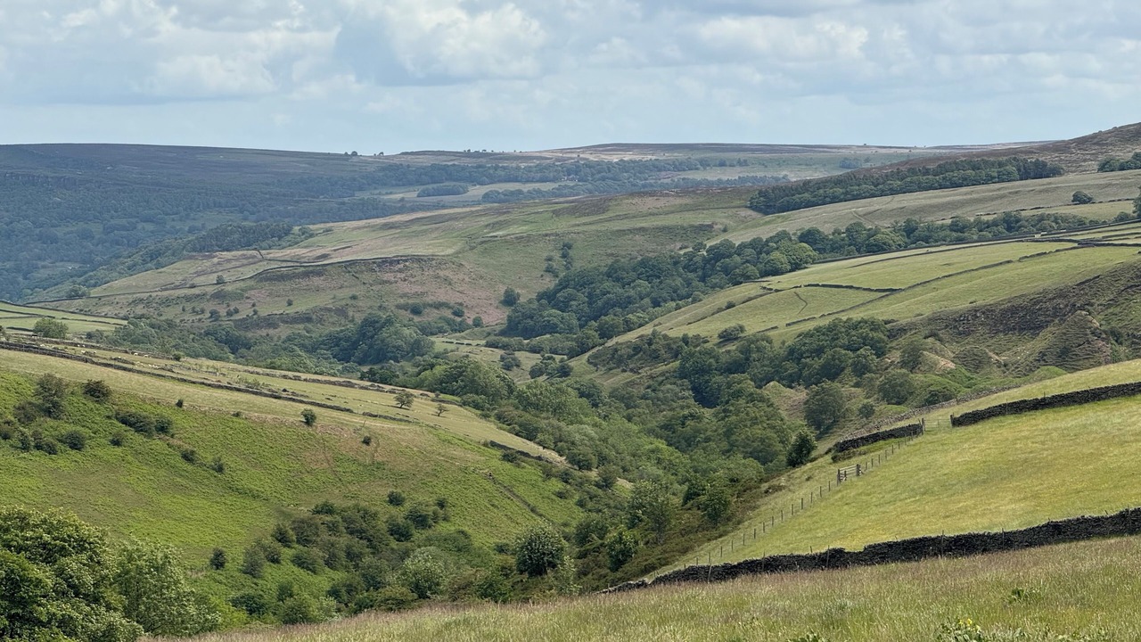 Photo of Others in Litton