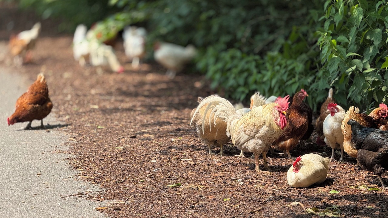 Photo of Others in Litton