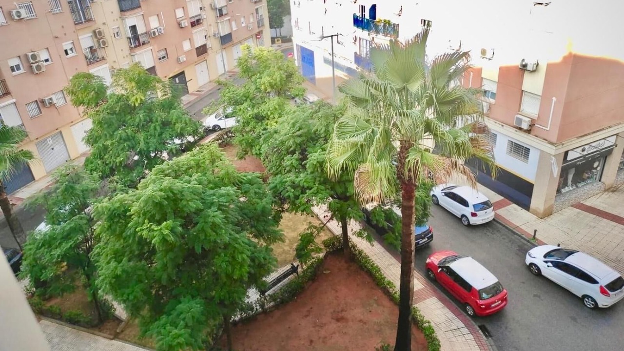 Photo of Others in Alcala de Guadaira