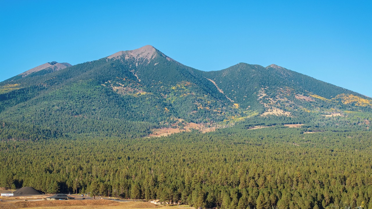 Photo of Others in Fort Valley