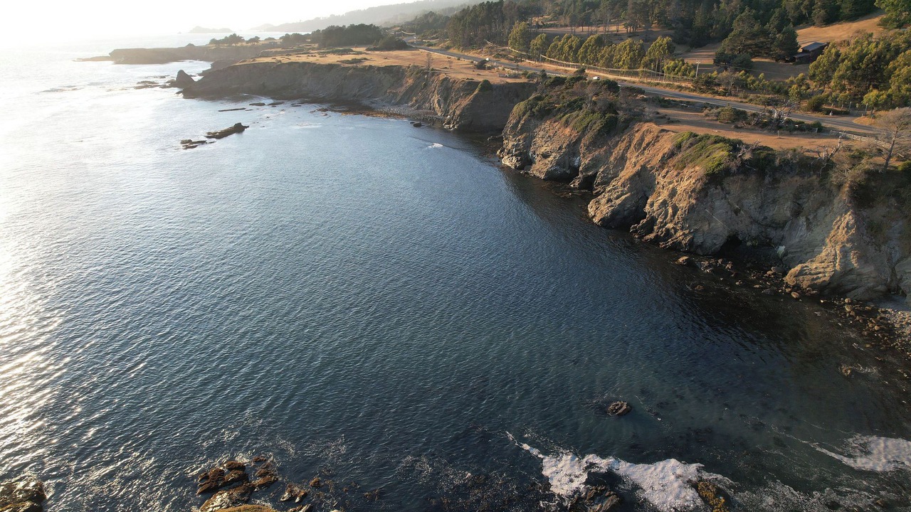 Photo of Others in Gualala