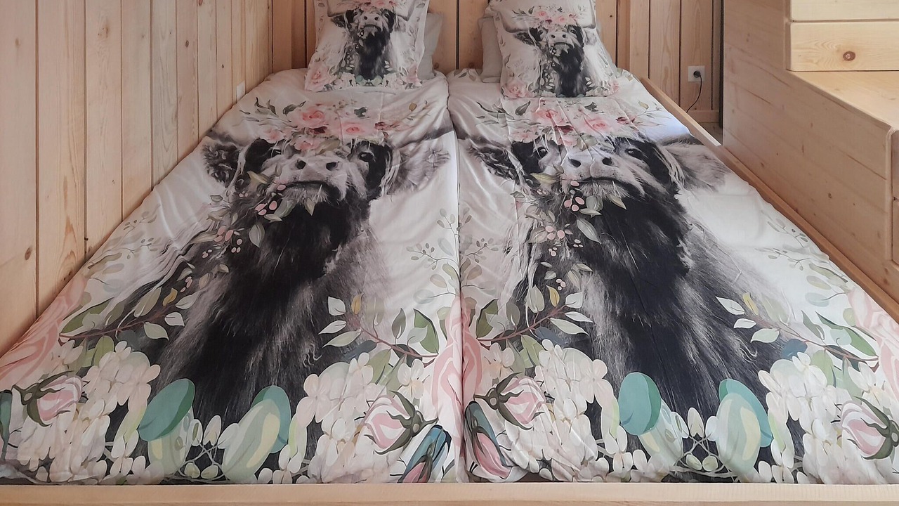 Photo of Others in Bellaffaire