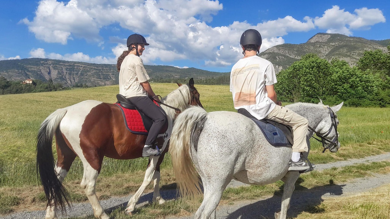 Photo of Others in Bellaffaire