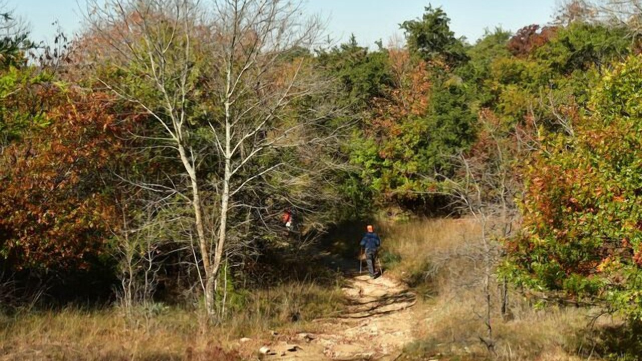 Photo of Outdoor in Pecan Acres