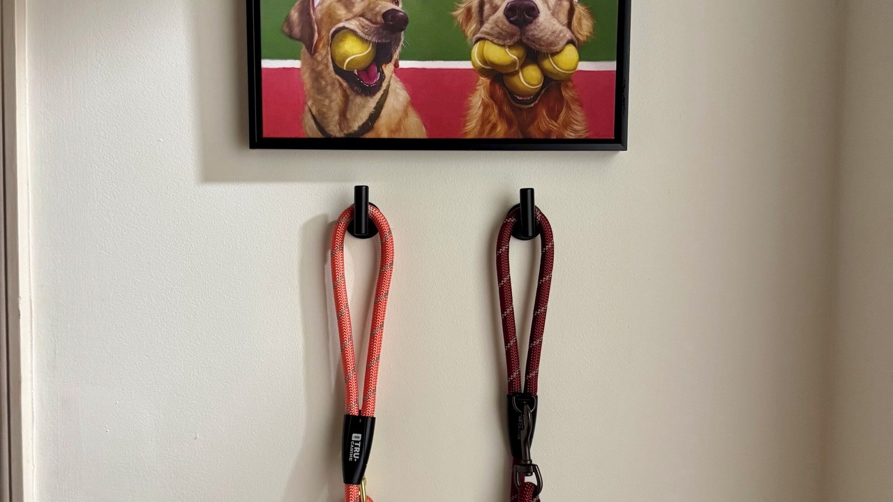 Photo of Others in Rome