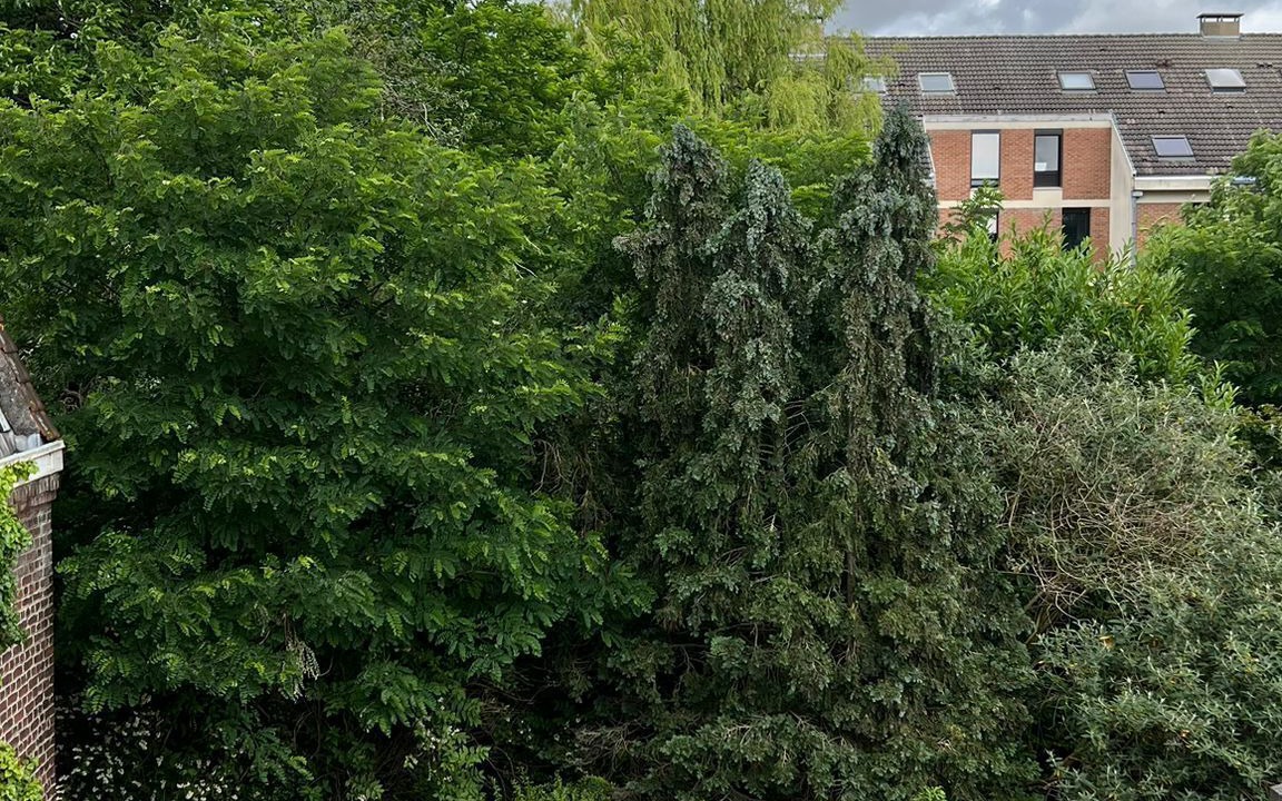 Photo of Outdoor in Lambersart
