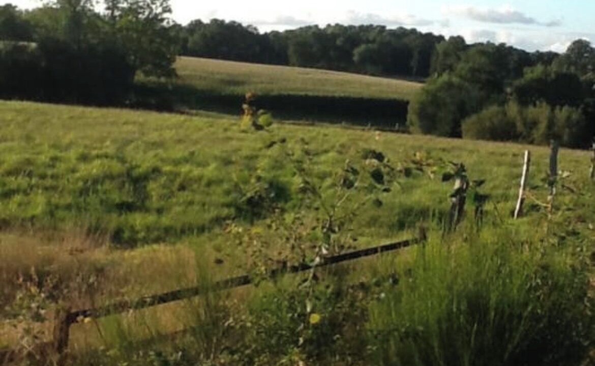 Photo of Others in Colombiers-du-Plessis
