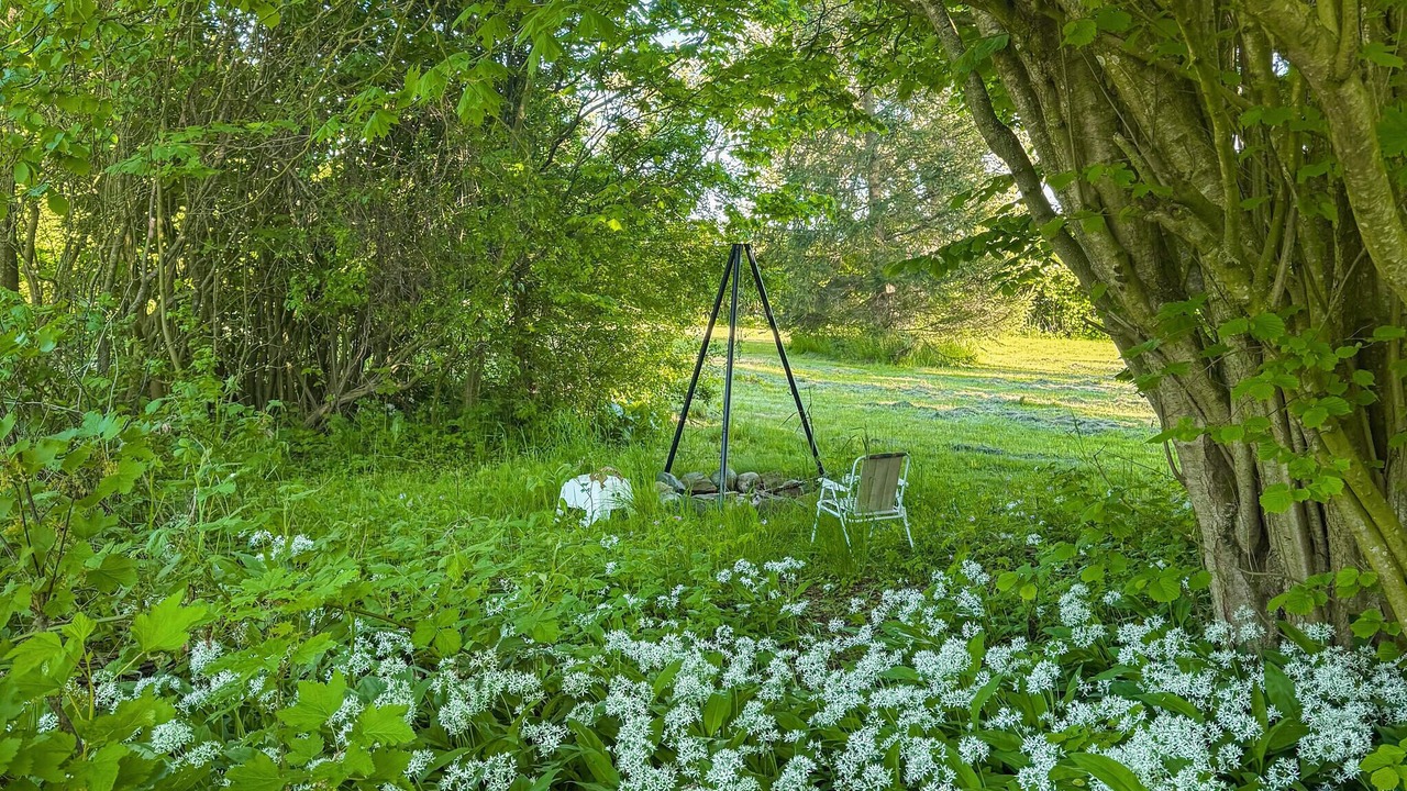 Photo of Others in Østermarie