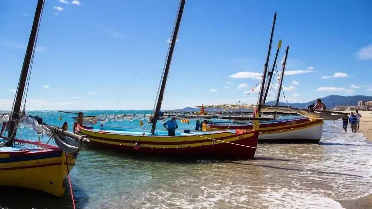 Photo of Others in Saint-Cyprien Plage