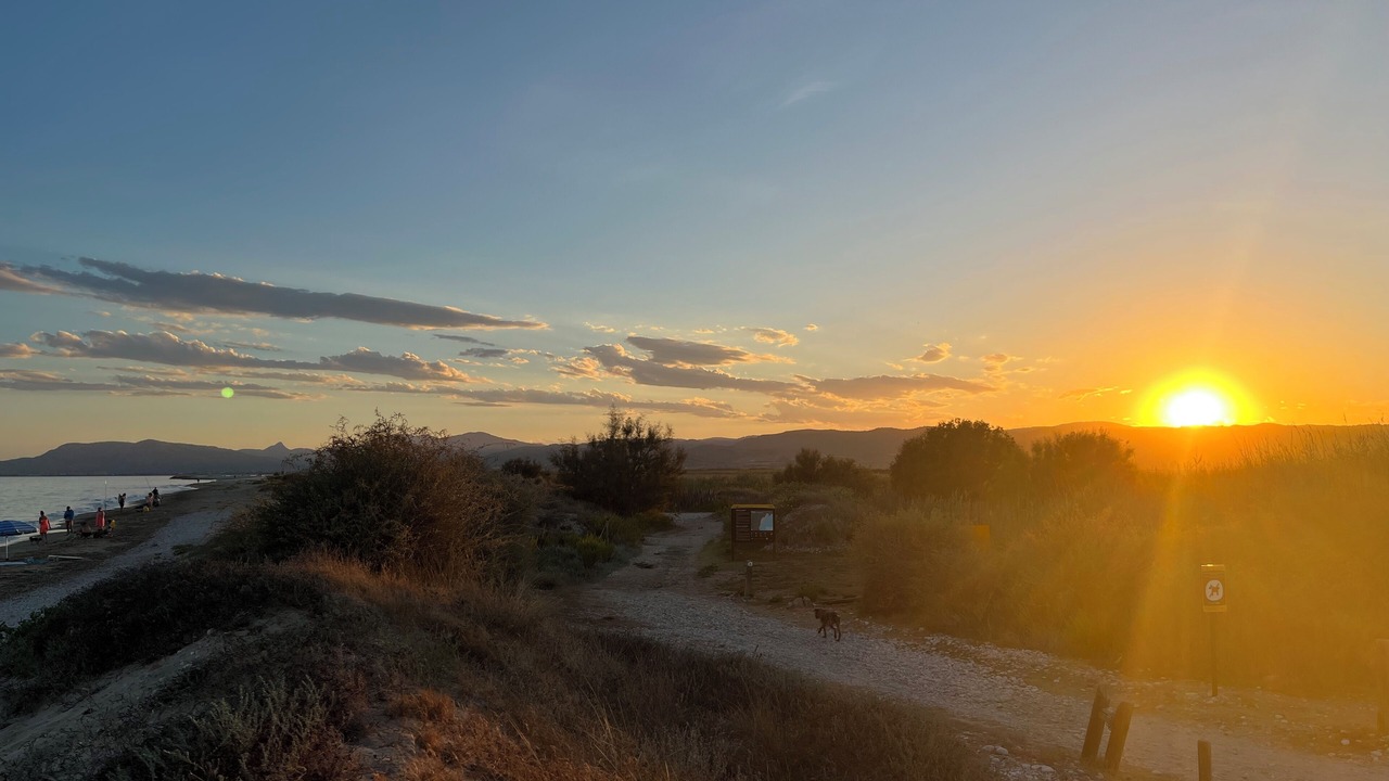 Photo of Others in Torreblanca