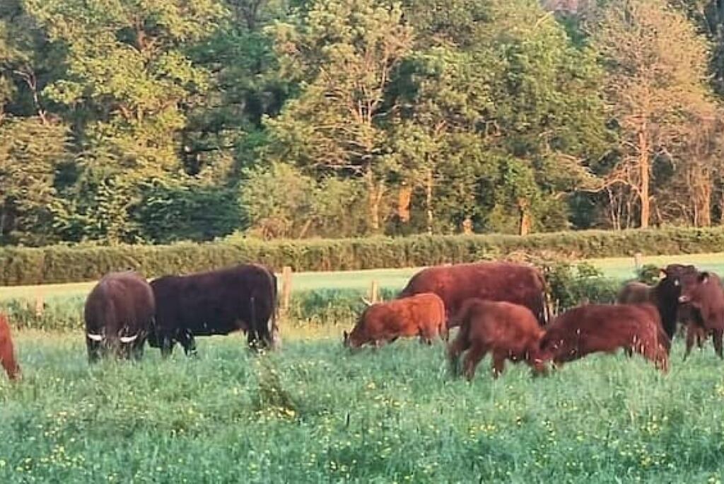 Photo of Others in Belhomert-Guehouville