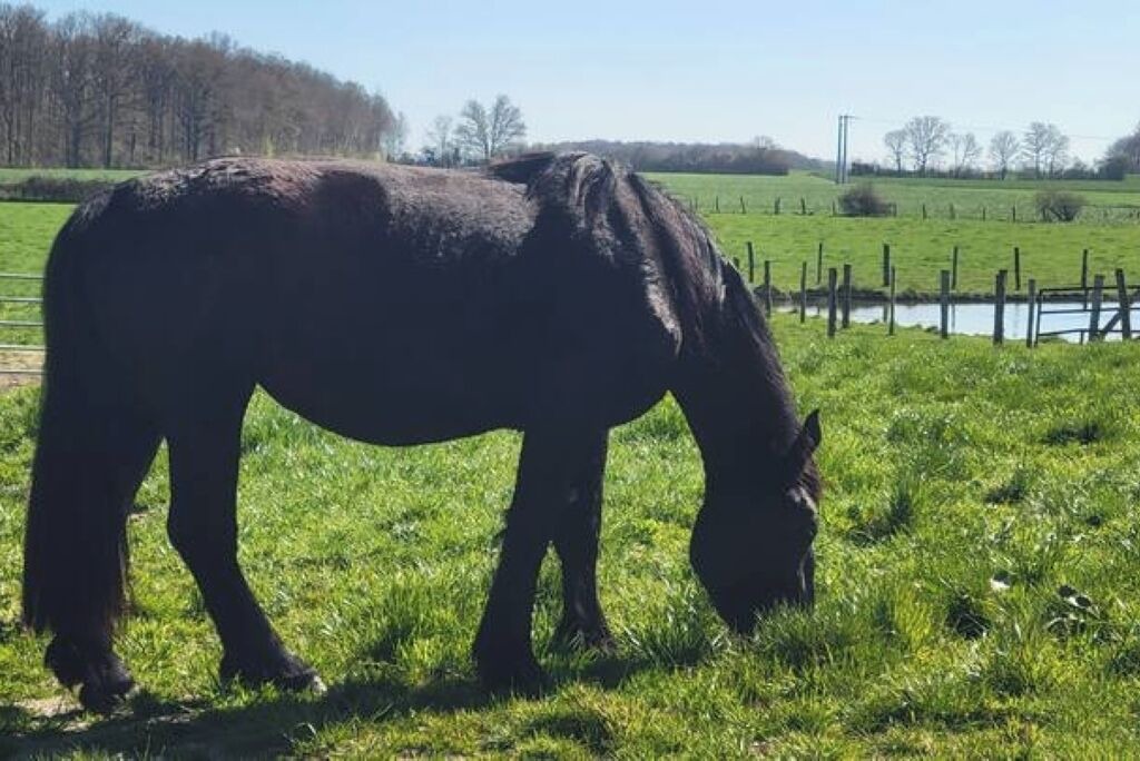 Photo of Others in Belhomert-Guehouville