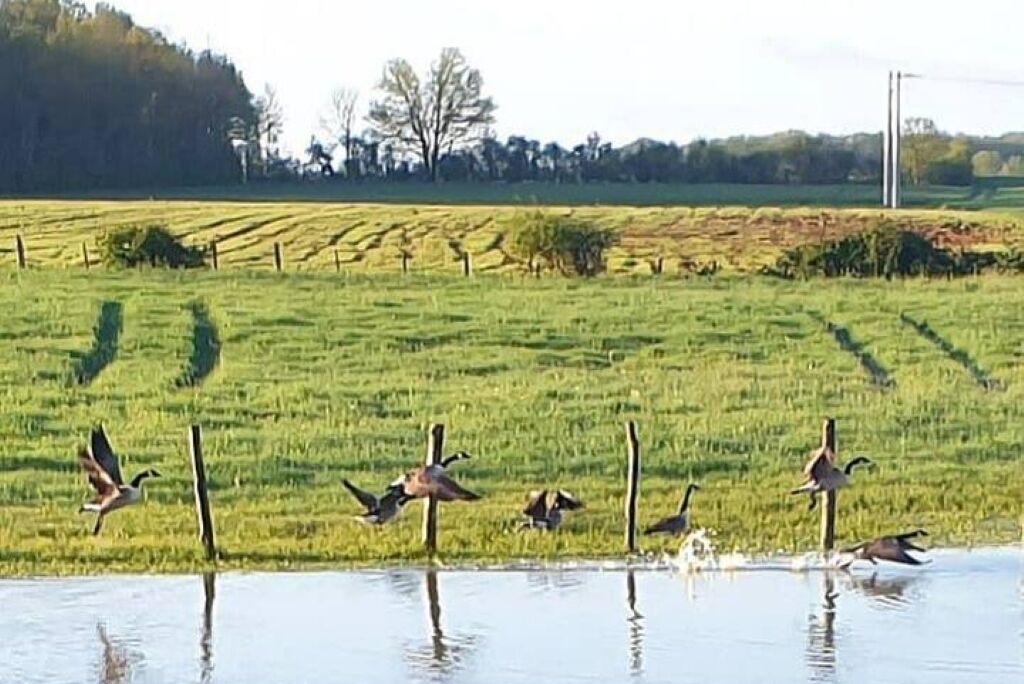 Photo of Others in Belhomert-Guehouville