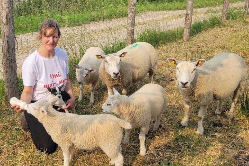 Photo of Others in Belhomert-Guehouville